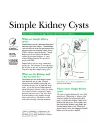 Simple Kidney Cysts National Kidney and Urologic Disea