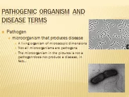 Pathogenic Organism and Disease Terms