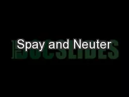 Spay and Neuter
