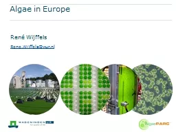 Algae in Europe