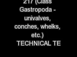 217 (Class Gastropoda - univalves, conches, whelks, etc.) TECHNICAL TE