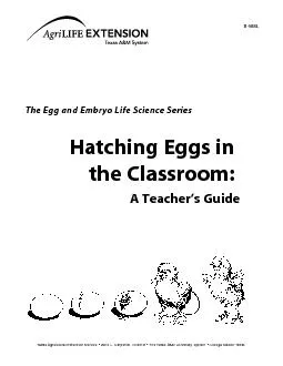 e Egg d Ee Science SeriesHa ine A Tes GdeTexas Agricultural Extension