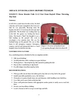 MIFACE INVESTIGATION REPORT #12MI218SUBJECT: Horse Breeder Falls 1112