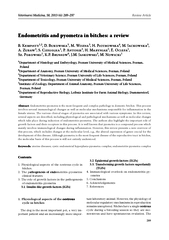 Endometritis and pyometra in bitches a review B