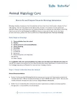 Animal Histology Core