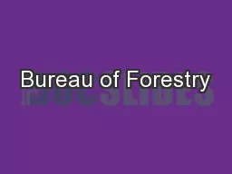 Bureau of Forestry