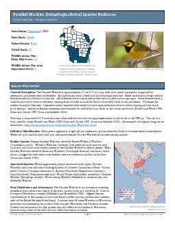 Hooded Warbler Species Guidance