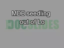 MDB seedling out of Lo