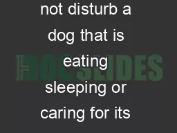 Do not threaten or tease a dog Do not run past a dog Do not disturb a dog that is eating sleeping or caring for its puppies Do not come between dogs that are fighting