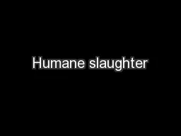 Humane slaughter
