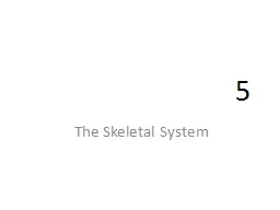 5 The Skeletal System
