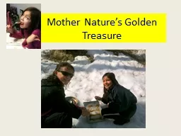 Mother Nature’s Golden Treasure