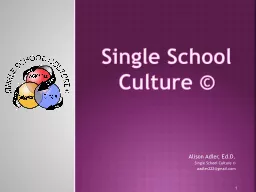 Single School Culture ©