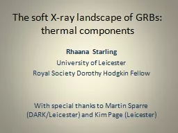 The soft X-ray landscape of GRBs: