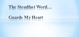 The Steadfast Word…