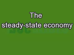 The steady-state economy