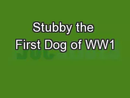 Stubby the First Dog of WW1
