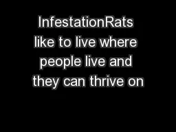 InfestationRats like to live where people live and they can thrive on