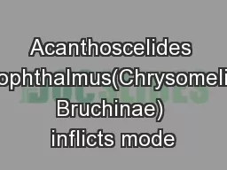 Acanthoscelides macrophthalmus(Chrysomelidae: Bruchinae) inflicts mode