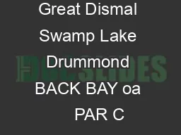 Great Dismal Swamp Lake Drummond BACK BAY oa     PAR C