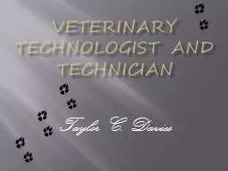 Veterinary technologist and technician