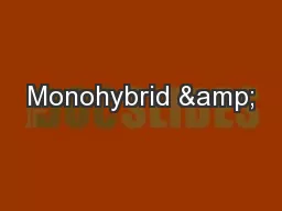 Monohybrid &