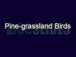 Pine-grassland Birds