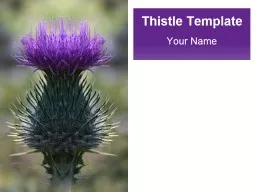 Thistle Template