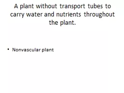 A plant without transport tubes to carry water and nutrient