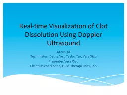 Real-time Visualization of Clot Dissolution Using Doppler U