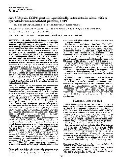 Proc.Natl.Acad.Sci.USAVol.92,pp.4239-4243,May1995PlantBiologyArabidops