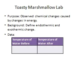 Toasty Marshmallow Lab