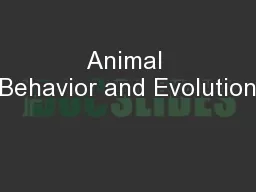 Animal Behavior and Evolution