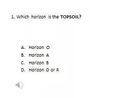 1. Which horizon is the