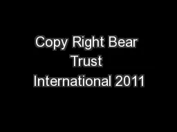 Copy Right Bear Trust International 2011