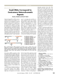 MOLECULAR BIOLOGY SmallRNAsCorrespondto CentromereHete