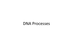 DNA Processes