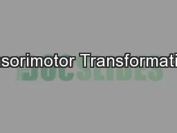 Sensorimotor Transformations