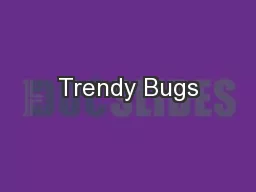 Trendy Bugs