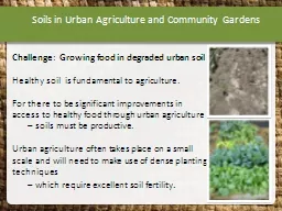 Soils in Urban Agriculture and Community Gardens