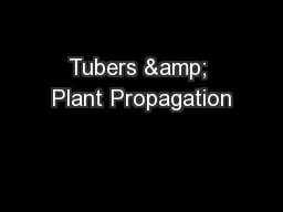 Tubers & Plant Propagation