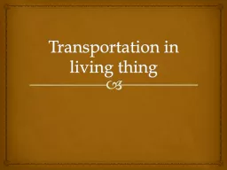 Transportation in living thing