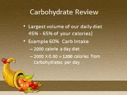 Carbohydrate Review