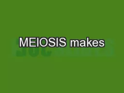 MEIOSIS makes