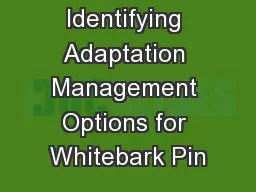 Identifying Adaptation Management Options for Whitebark Pin