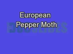 European Pepper Moth