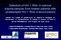 Detection of HIV-1 RNA in seminal plasma samples from treat