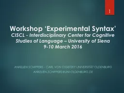Workshop ‘Experimental Syntax’