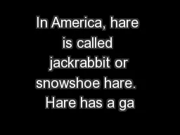 In America, hare is called jackrabbit or snowshoe hare.  Hare has a ga