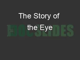 The Story of the Eye